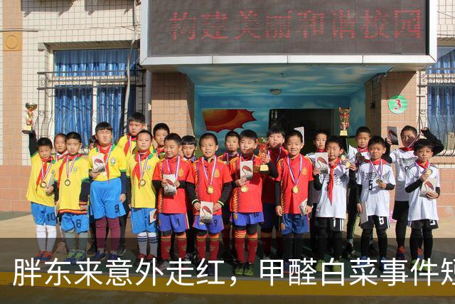 胖东来意外走红，甲醛白菜事件短短三天引发热议
